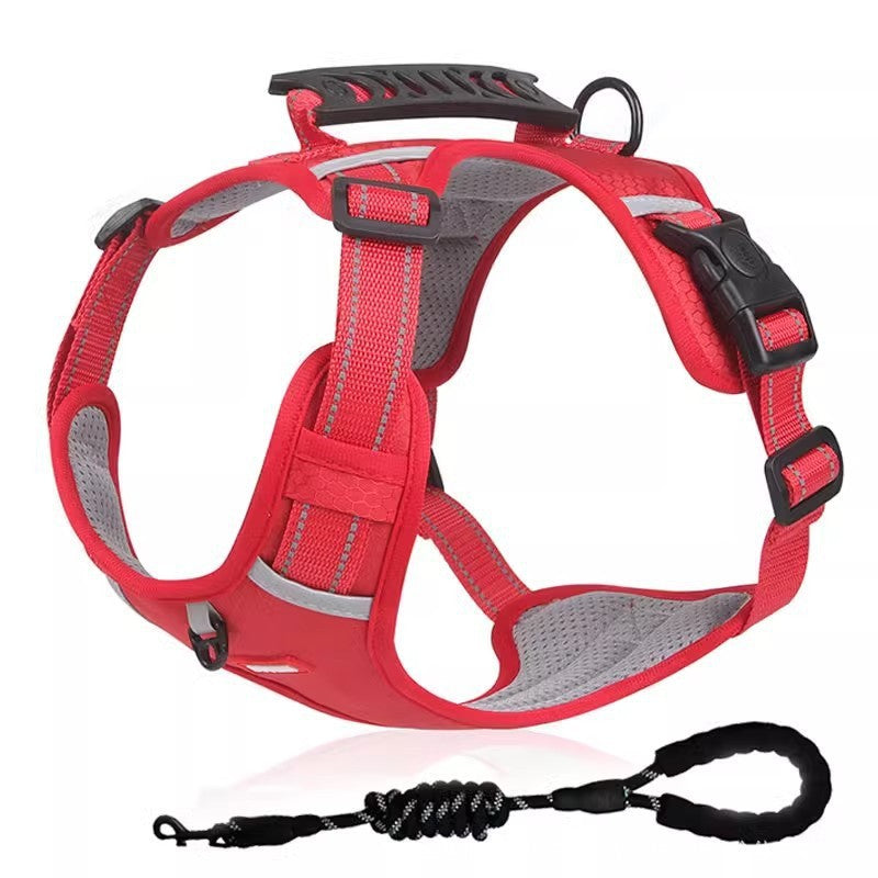 EasyWalk Harness
