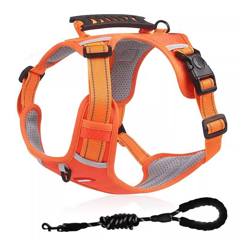 EasyWalk Harness