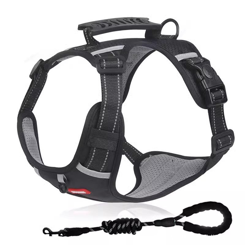 EasyWalk Harness