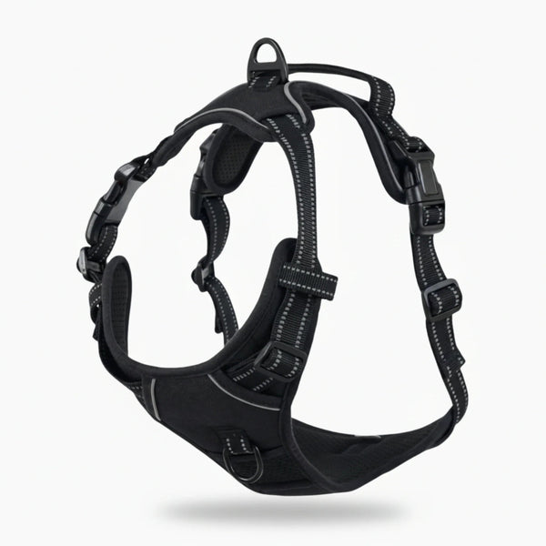 FellStern EasyWalk Harness