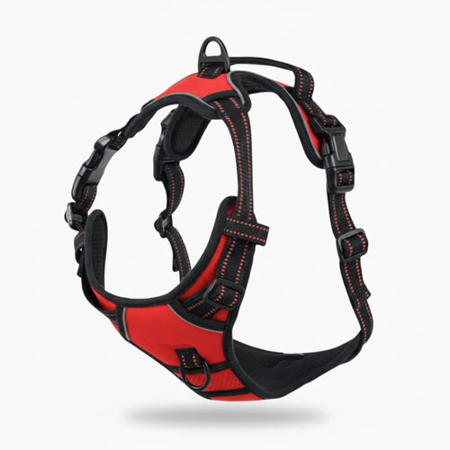EasyWalk Harness